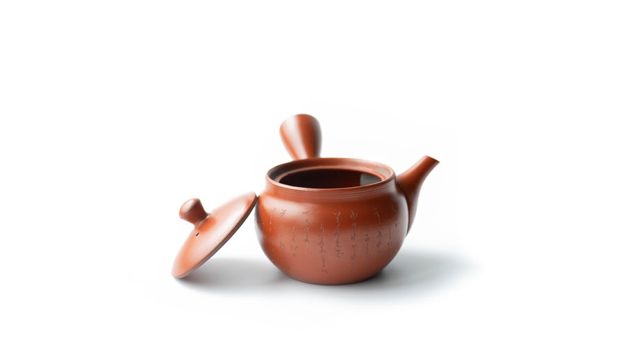 Tokoname brown kyusu teapot 03 (190ml)